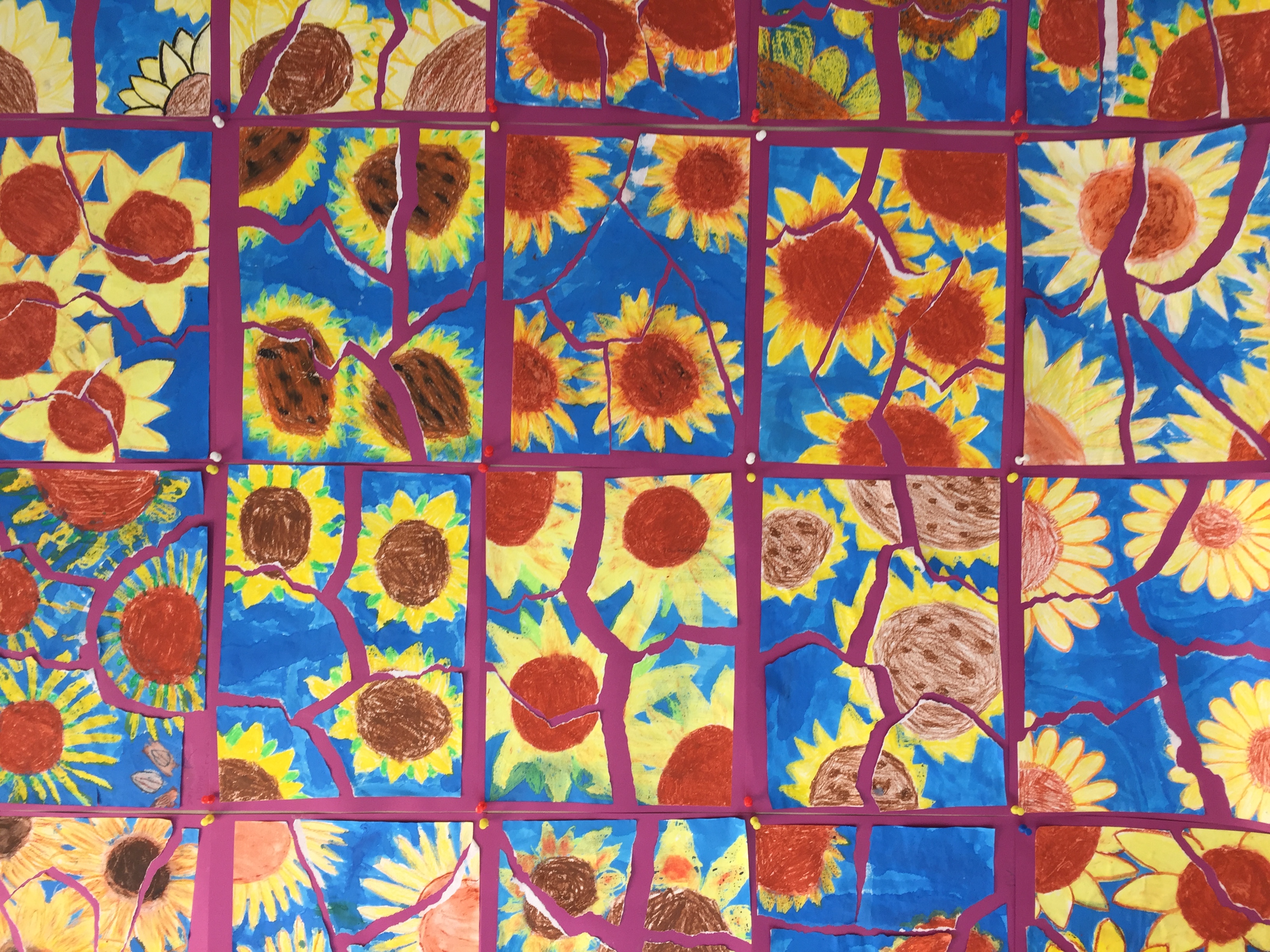 Groep 8 Zonnebloemen